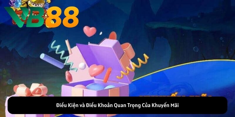 Điều Kiện và Điều Khoản Quan Trọng Của Khuyến Mãi