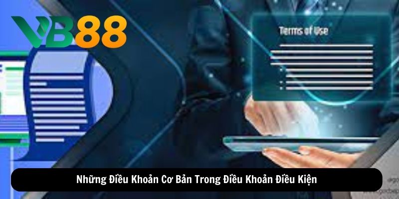 Những Điều Khoản Cơ Bản Trong Điều Khoản Điều Kiện